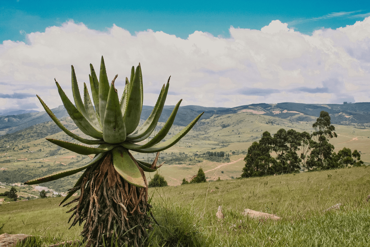 Eswatini landmark