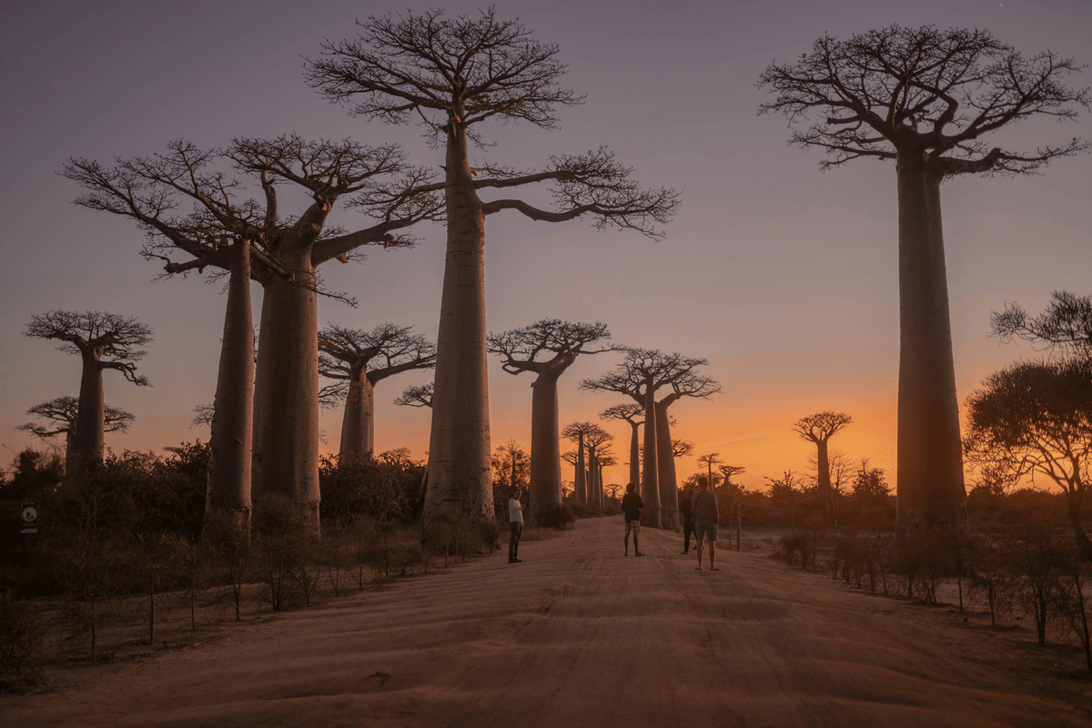 Madagascar landmark