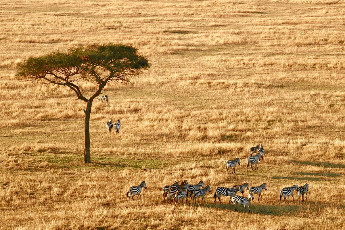 Tanzania landmark